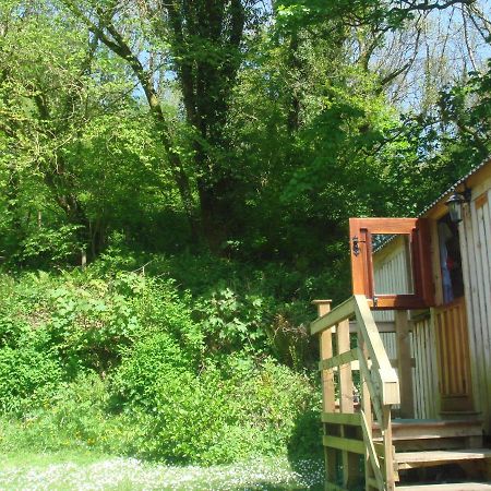 'Morris' The Shepherd'S Hut With Woodland Hot Tub Carmarthen Exterior photo