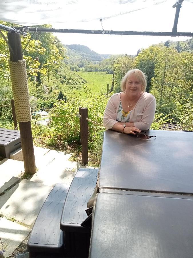 'Morris' The Shepherd'S Hut With Woodland Hot Tub Carmarthen Exterior photo