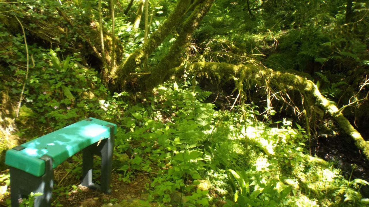 'Morris' The Shepherd'S Hut With Woodland Hot Tub Carmarthen Exterior photo