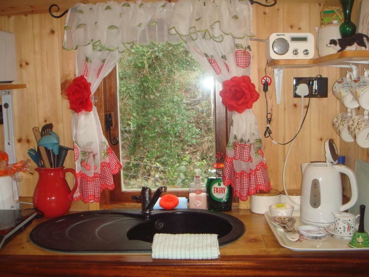 'Morris' The Shepherd'S Hut With Woodland Hot Tub Carmarthen Exterior photo