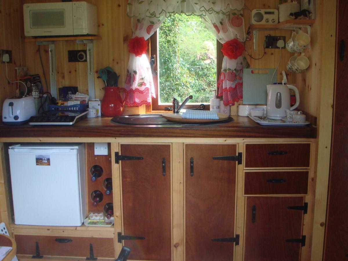 'Morris' The Shepherd'S Hut With Woodland Hot Tub Carmarthen Exterior photo