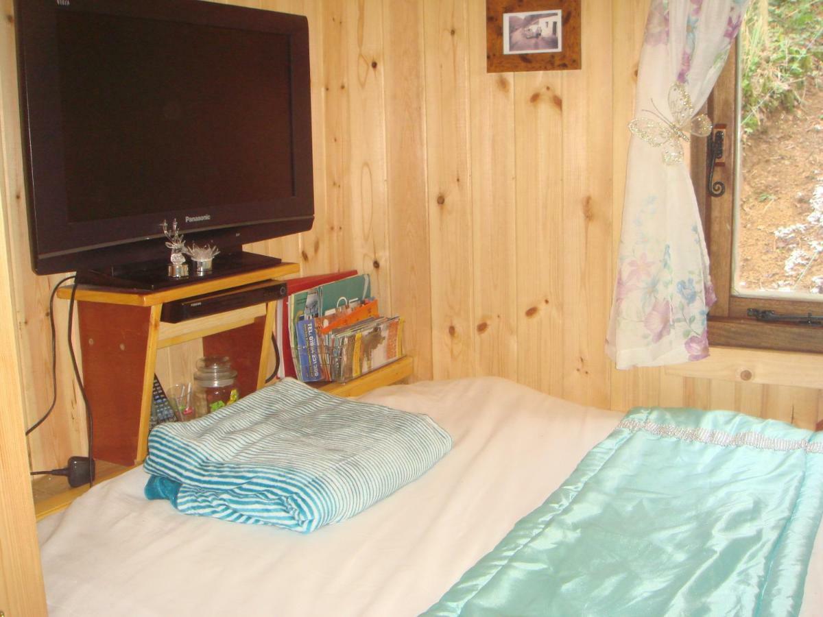 'Morris' The Shepherd'S Hut With Woodland Hot Tub Carmarthen Exterior photo