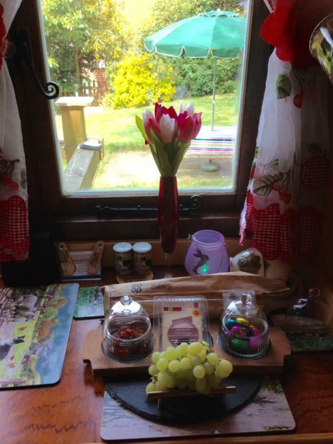 'Morris' The Shepherd'S Hut With Woodland Hot Tub Carmarthen Exterior photo