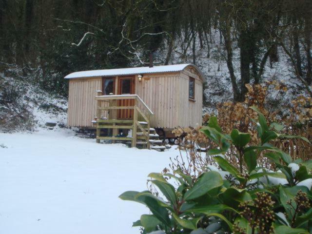 'Morris' The Shepherd'S Hut With Woodland Hot Tub Carmarthen Exterior photo