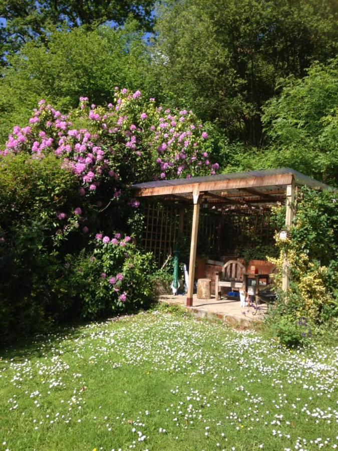 'Morris' The Shepherd'S Hut With Woodland Hot Tub Carmarthen Exterior photo