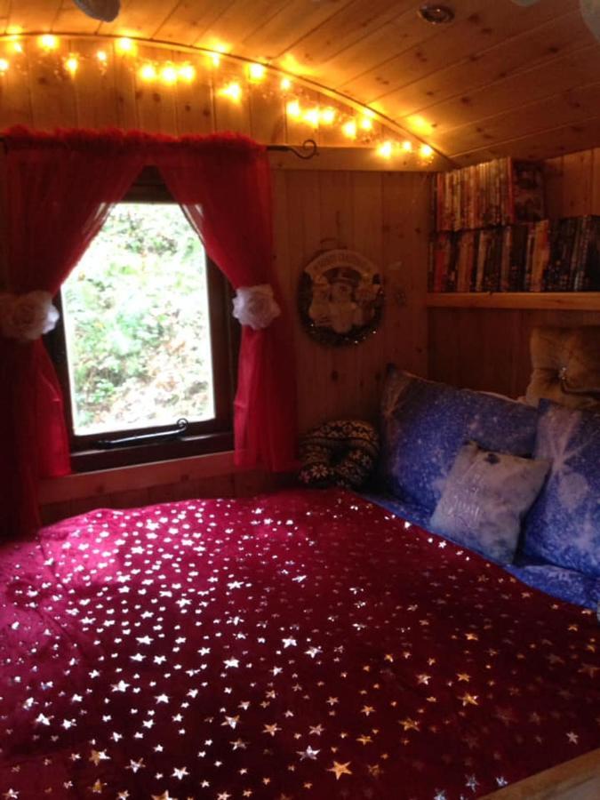 'Morris' The Shepherd'S Hut With Woodland Hot Tub Carmarthen Exterior photo