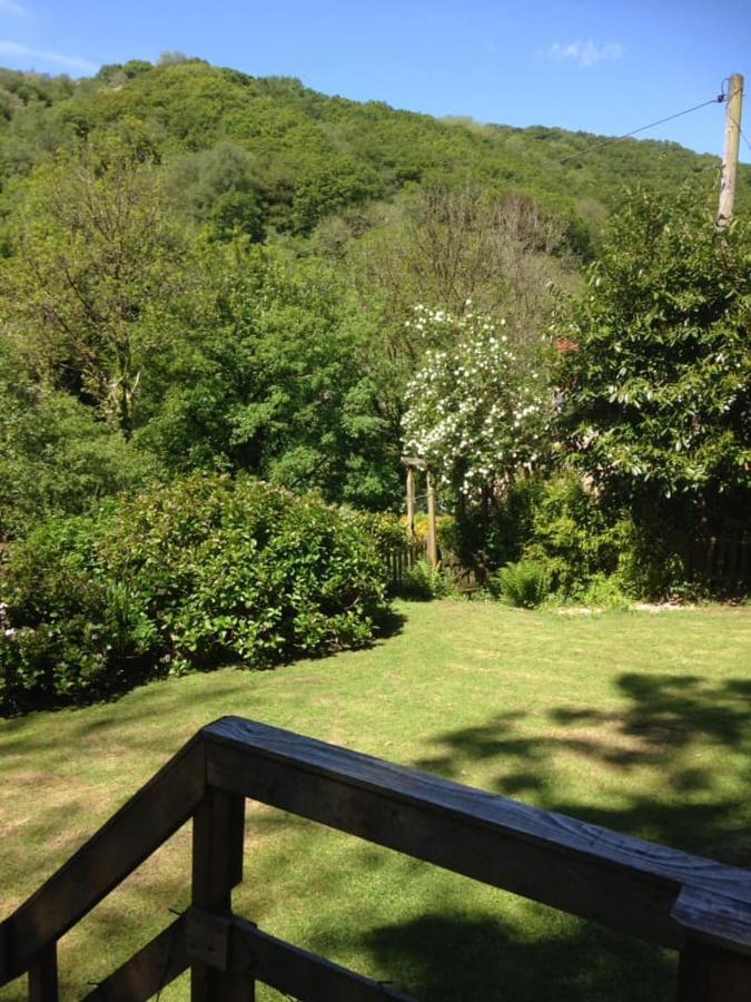 'Morris' The Shepherd'S Hut With Woodland Hot Tub Carmarthen Exterior photo