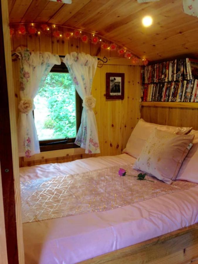 'Morris' The Shepherd'S Hut With Woodland Hot Tub Carmarthen Exterior photo