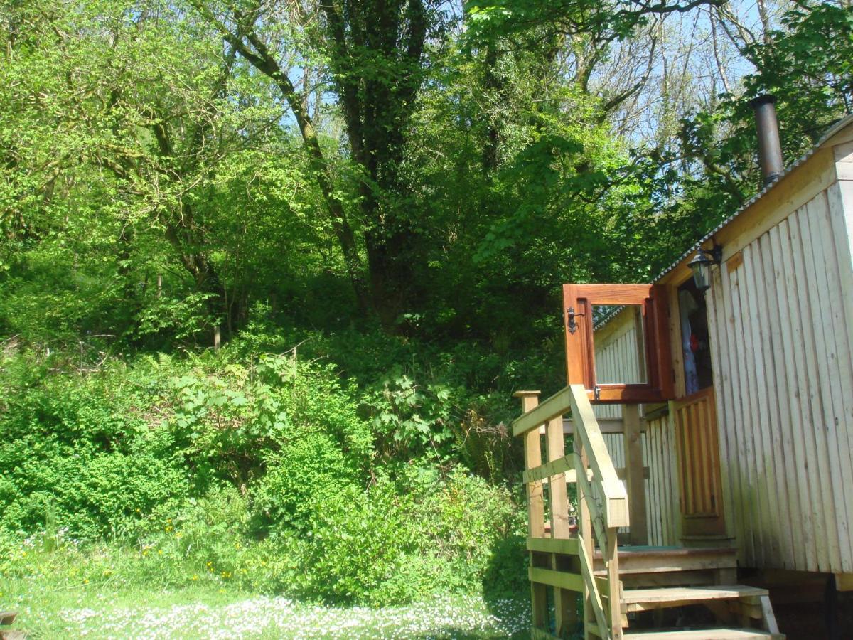 'Morris' The Shepherd'S Hut With Woodland Hot Tub Carmarthen Exterior photo